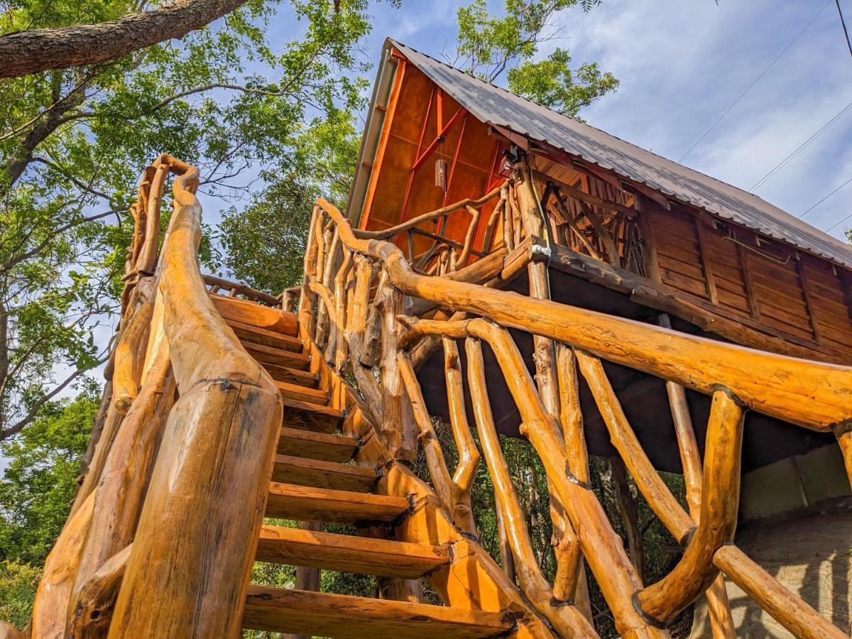 Wooden Cabana Сигирия Екстериор снимка